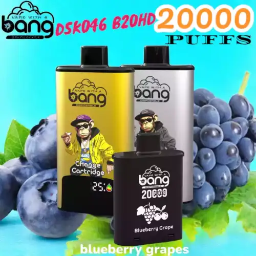 BANG 20000 PUFFS DSK046 B20HD Langanhaltend, 20 ml E-Liquid