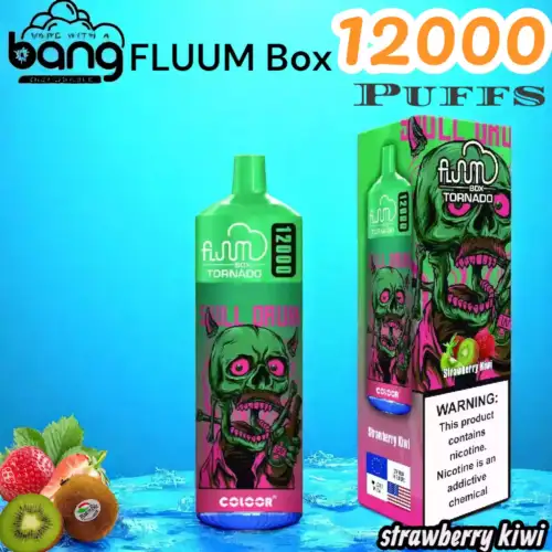 BANG FLUUM Box 12000 Puffs Langlebiger Einweg-Vape mit 12 Aromen