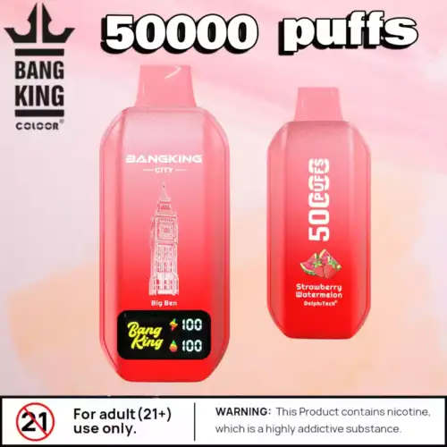 BANG KING 50000 Puffs CITY BK5 CT Langlebig Vielseitig & Aromatisch