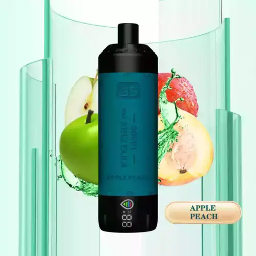 BREZE BS Kingmax Pro 18000 Puffs Luxus und langanhaltendes Dampfen