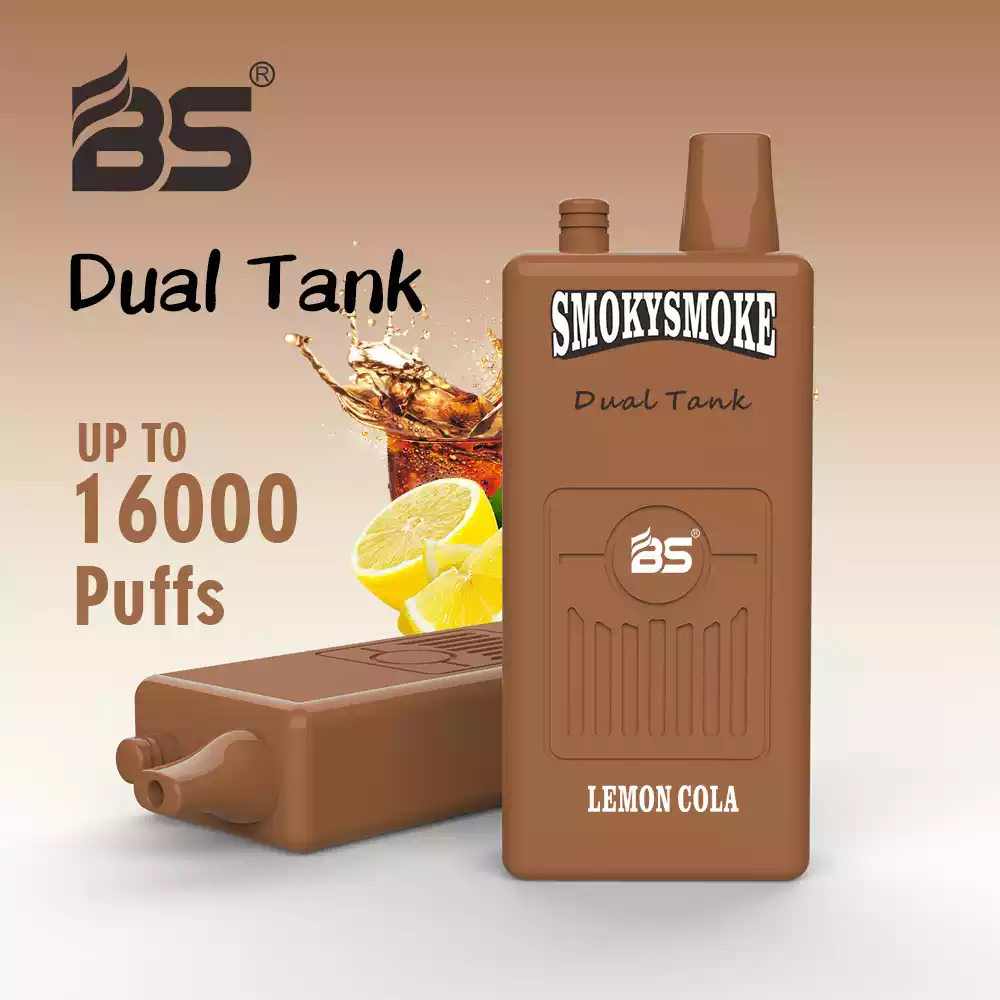 BREZE Bs Smoky 16000 Puffs Langlebiges Dampfen mit Dual Tank