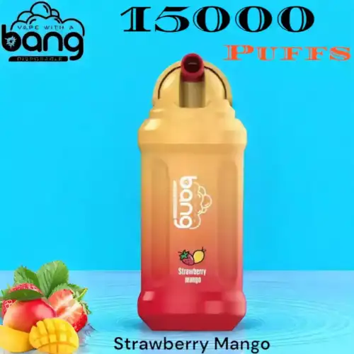 Bang 15000 Puffs Langlebiger Einweg-Vape mit 22 Aromen