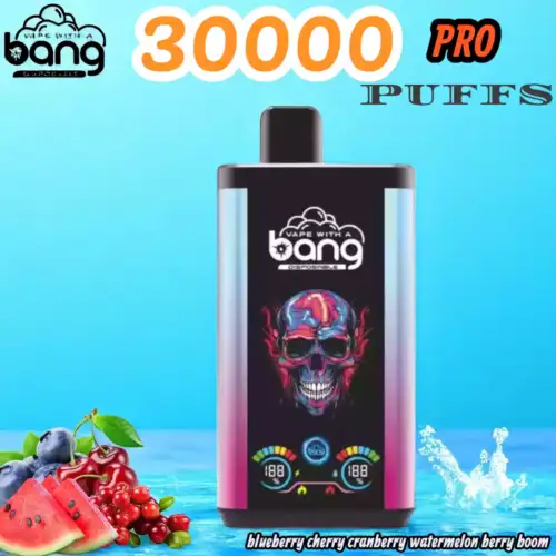 Bang 30000 Puffs PRO Langlebiger Einweg-Vape mit 36ml Liquid