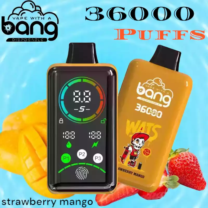 Bang 36000 Puffs Langlebiger Einweg-Vape mit 36ml Liquid