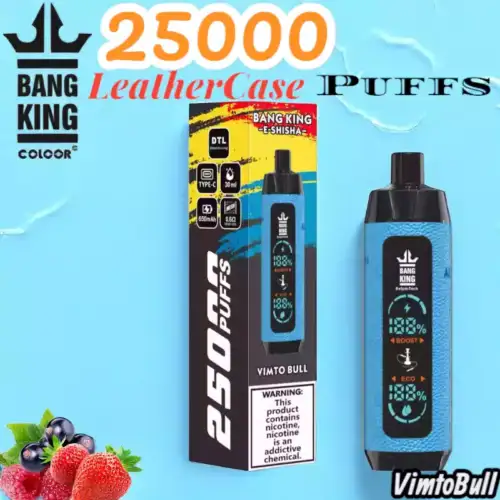 Bang King 25000 Puffs Leather Case Langlebiger Einweg-Vape mit 30ml Liquid