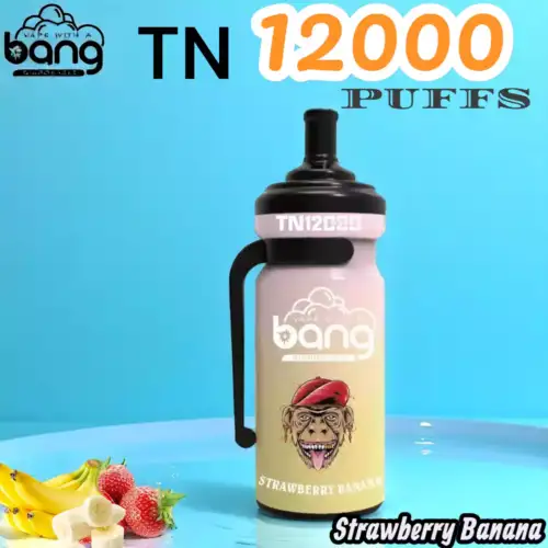Bang TN 12000 Puffs Langlebiger Einweg-Vape mit 20ml Liquid