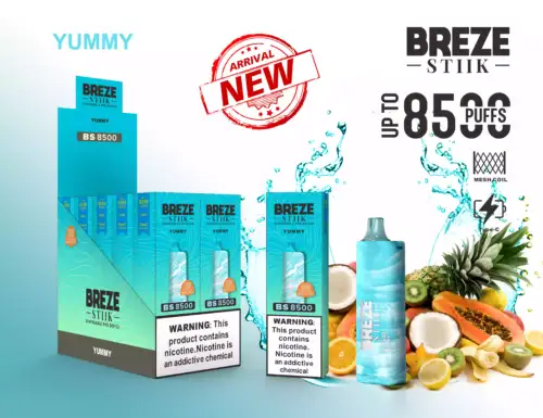 Breze Stiik BS 8500 Puffs Langanhaltender Genuss mit Stil