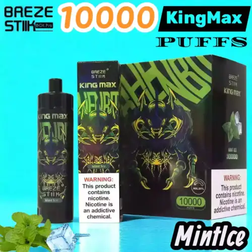 Breze Stiik King Max 10000 Puffs Langlebiges Dampfen mit Sub-ohm
