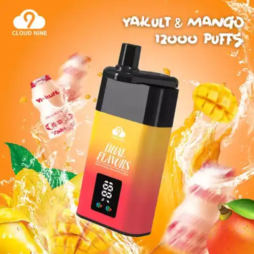 CLOUD NINE D19P 9000 Puffs Langlebiges Dampfen mit Mesh Coil