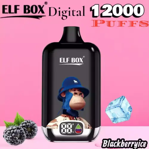 ELF BOX Digital 12000 Puffs Langlebiger Genuss mit Mesh Coil