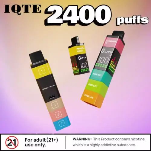 IQTE 2400 Puffs Langanhaltendes Einweg-Vape mit vielfältigen Aromen