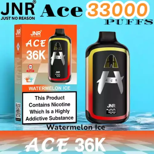 JNR Ace 33000 PUFFS Leistungsstarker 33K Disposable Vape