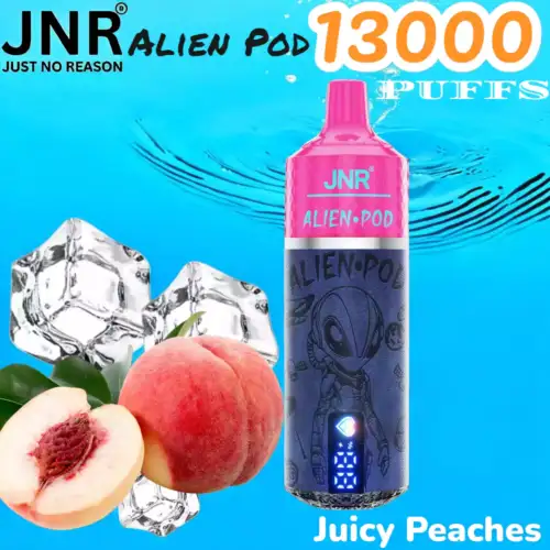 JNR Alien Pod 13000 PUFFS Starker 13K Vape für unterwegs