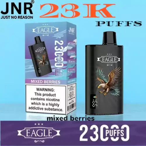 JNR EAGLE 23000 Puffs Leistungsstarker 23K Disposable Vape