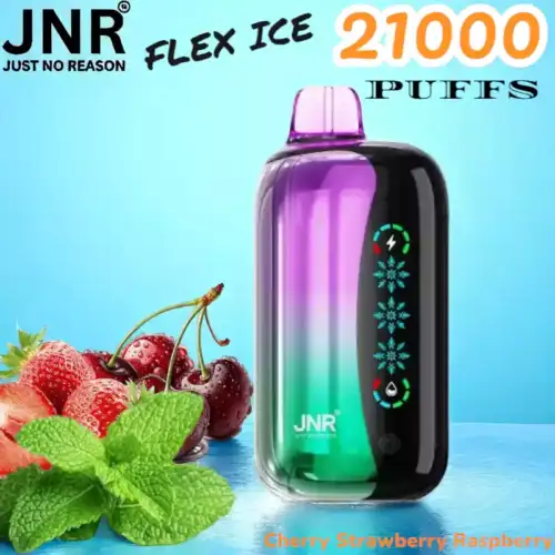 JNR FLEX ICE 21000 PUFFS Leistungsstarker Disposable Vape