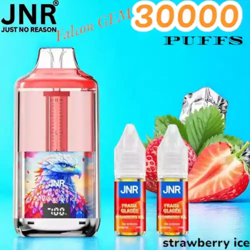 JNR Falcon GEM 30000 PUFFS Leistungsstarker 30K Disposable Vape