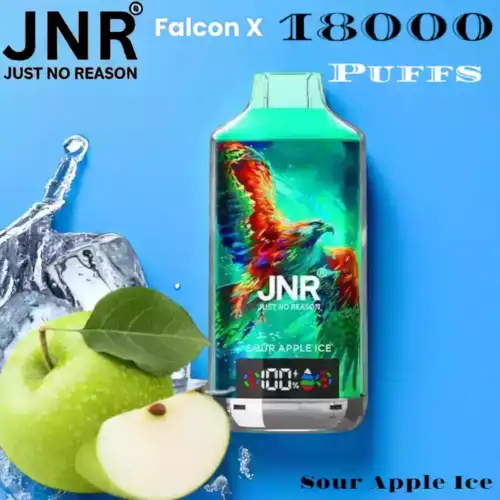 JNR Falcon-X 18000 Puffs Disposable Vape Langanhaltender Genuss!