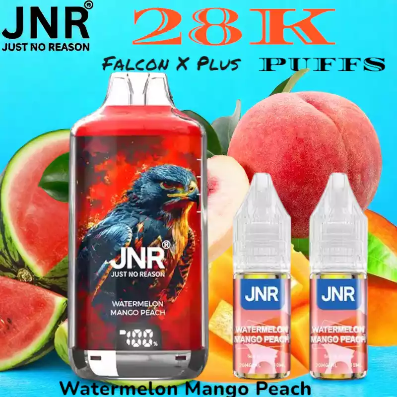 JNR Falcon X Plus 28K Puffs Leistungsstarker 28K Disposable Vape