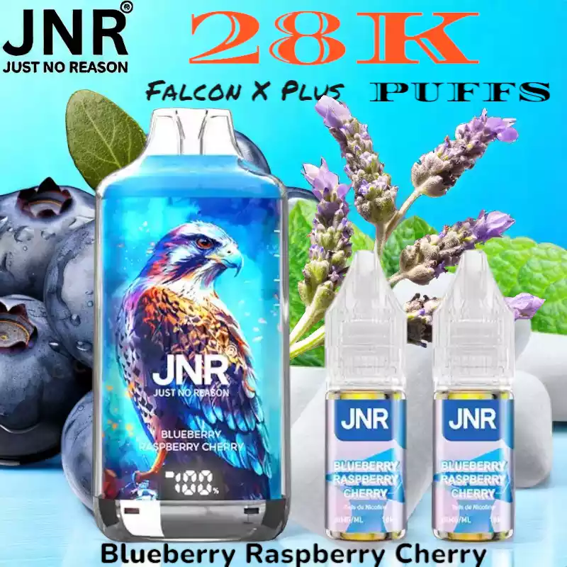 JNR Falcon X Plus 28K Puffs Leistungsstarker 28K Disposable Vape
