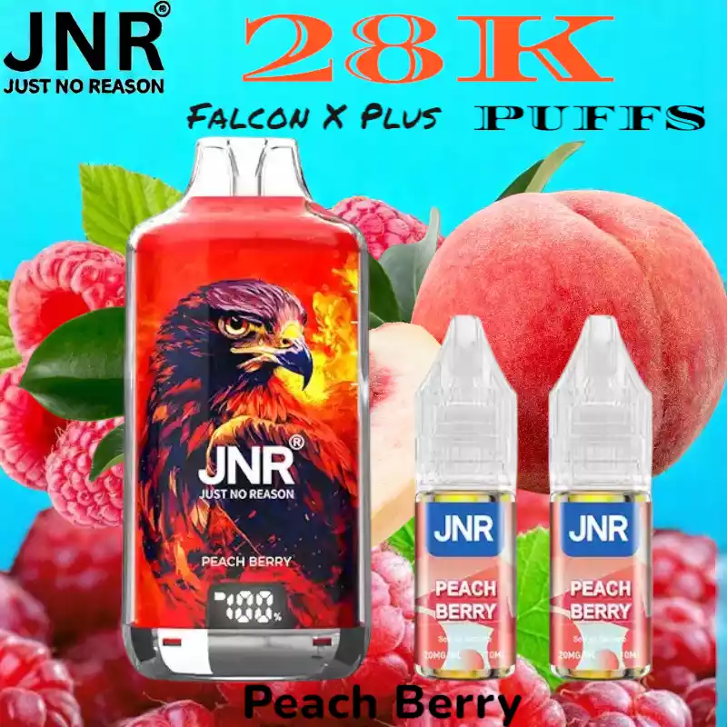 JNR Falcon X Plus 28K Puffs Leistungsstarker 28K Disposable Vape