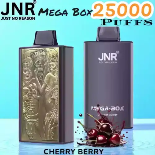 JNR Mega Box 25000 Puffs Disposable Vape Langlebiger Genuss!