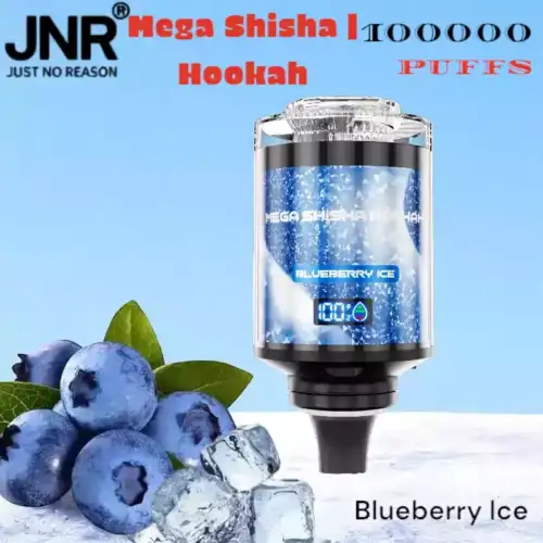JNR Mega Shisha Hookah 100000 Puffs Ultimatives Dampferlebnis