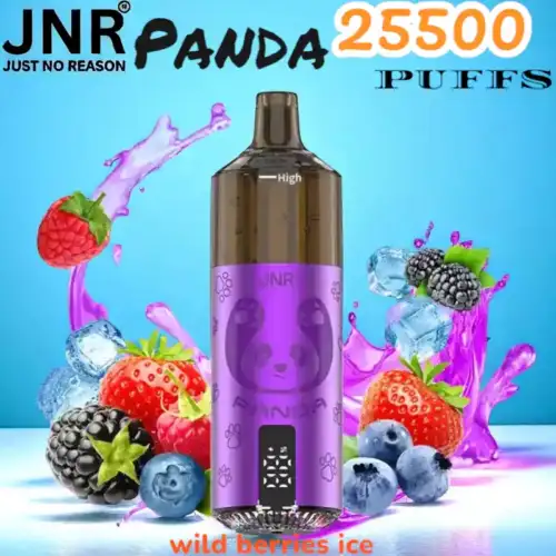 JNR Panda 25500 PUFFS Innovativer Vape mit USB-C und großem Akku