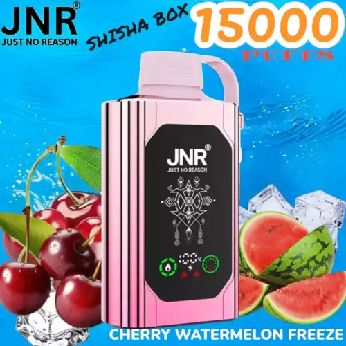 JNR SHISHA BOX 15000 PUFFS Intensiver 15K Vape im Shisha-Stil