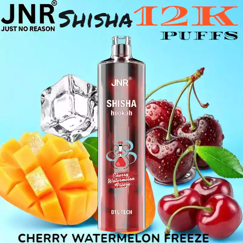 JNR Shisha 12K Puffs Authentisches Shisha-Erlebnis für unterwegs
