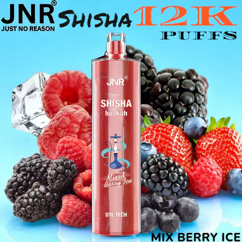 JNR Shisha 12K Puffs Authentisches Shisha-Erlebnis für unterwegs