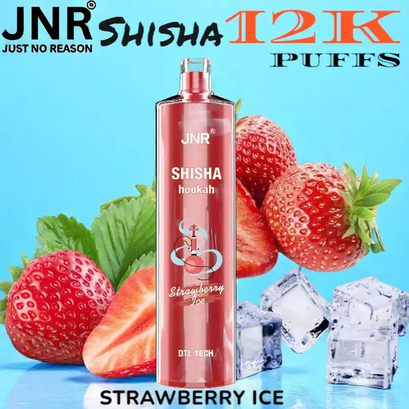 JNR Shisha 12K Puffs Authentisches Shisha-Erlebnis für unterwegs