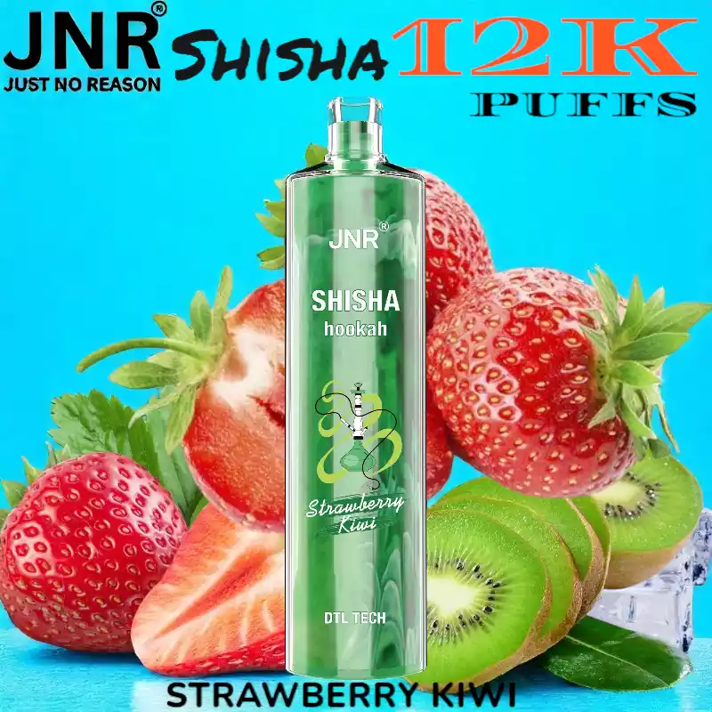 JNR Shisha 12K Puffs Authentisches Shisha-Erlebnis für unterwegs