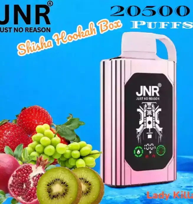 JNR Shisha Hookah Box 20500 Puffs Lang anhaltender Genuss und starke Leistung