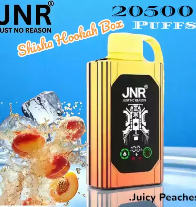 JNR Shisha Hookah Box 20500 Puffs Lang anhaltender Genuss und starke Leistung