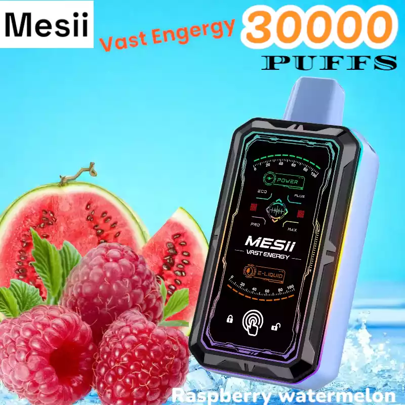 Mesii Vast Energy 30000 Puffs 30K Züge Touch Switch 800mAh Akku