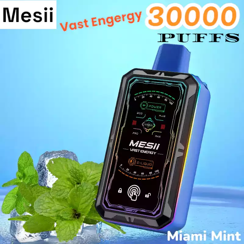Mesii Vast Energy 30000 Puffs 30K Züge Touch Switch 800mAh Akku