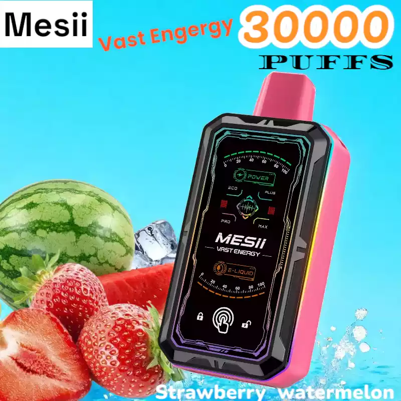 Mesii Vast Energy 30000 Puffs 30K Züge Touch Switch 800mAh Akku