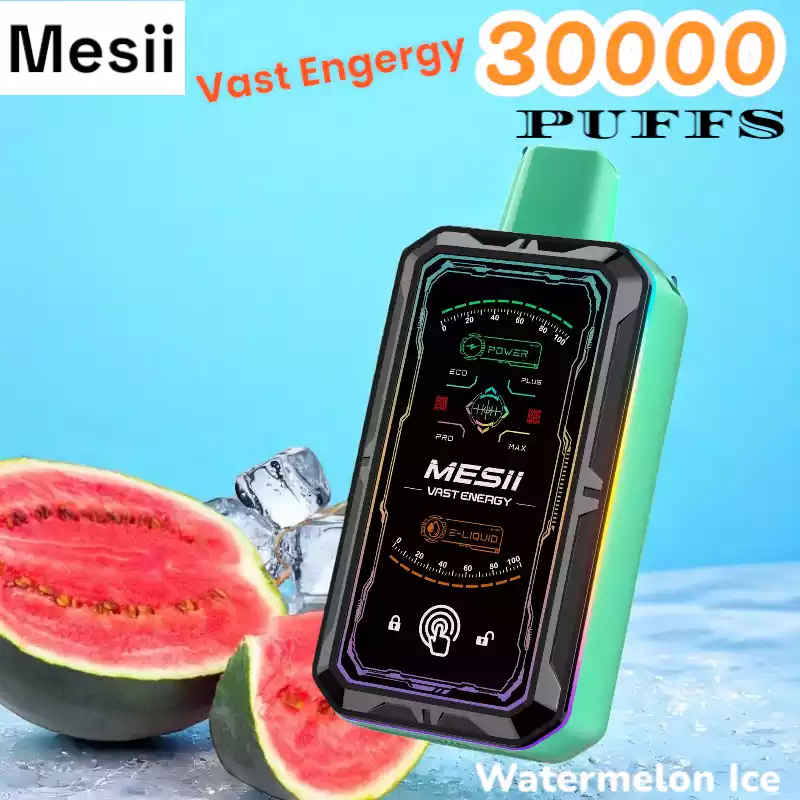 Mesii Vast Energy 30000 Puffs 30K Züge Touch Switch 800mAh Akku