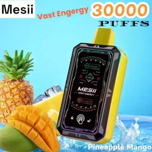 Mesii Vast Energy 30000 Puffs 30K Züge Touch Switch 800mAh Akku