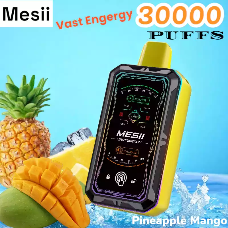 Mesii Vast Energy 30000 Puffs 30K Züge Touch Switch 800mAh Akku