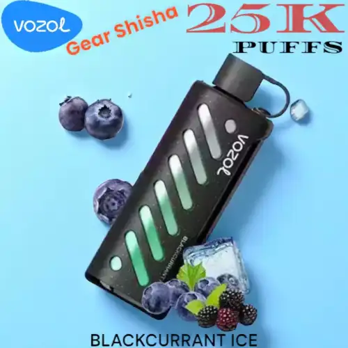 Vozol Gear Shisha 25000 Puffs Langanhaltender Genuss und Vielfalt
