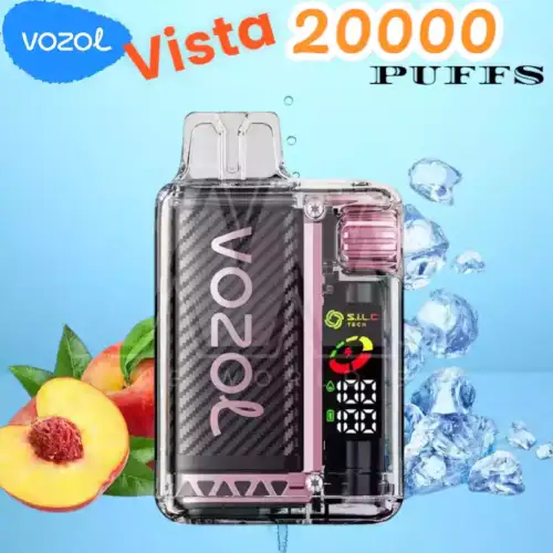 Vozol Vista 20000 Puffs Langanhaltender Genuss mit anpassbarem Dampfen