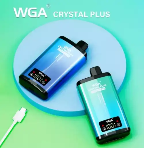 WGA 20000 Puffs Langanhaltender Vaping-Genuss