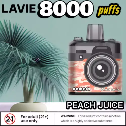 LAVIE Camera 8000 Puffs kompakte vape mit 18ml & usb-c