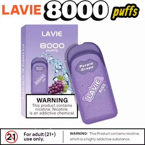 LAVIE KISS 8000 Puffs Vape 12ml USB-C Mesh Coil, 5% Nic