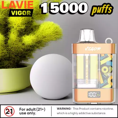 LAVIE VIGOR 15000 Puffs 22ml vape mit usb-c & dual mesh