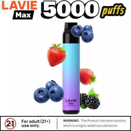Lavie Max 5000 Puffs 15ml USB-C Mesh Coil 5% Nic